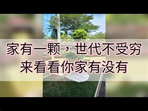 花羅漢風水|問答篇 － 風水魚數目